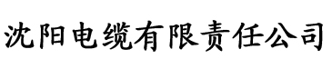 大香蕉在线视频伊人电缆厂logo